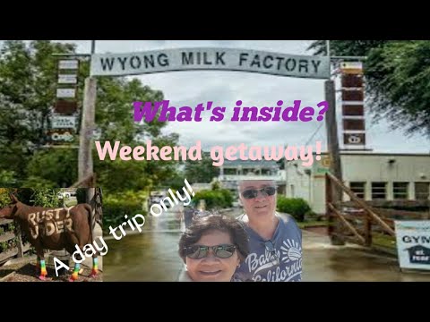 Sydney Travel. Wyong Milk Factory