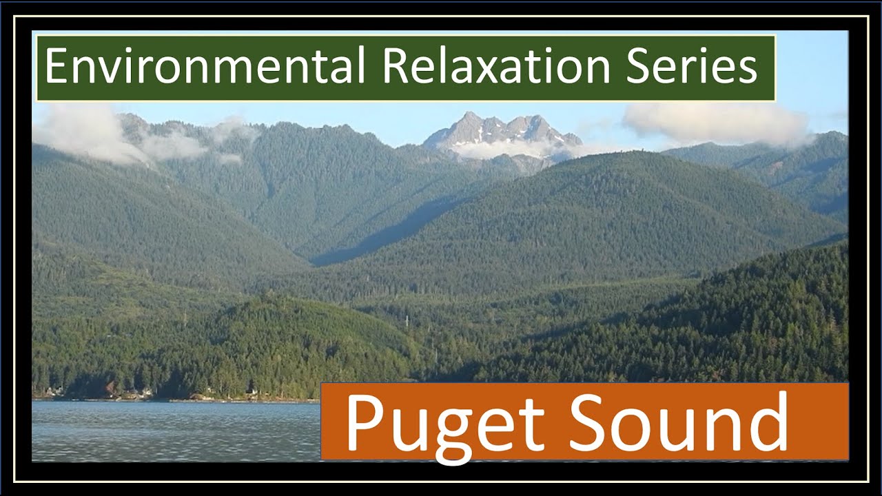 Puget Sound & the Olympic Mountains with ambient sound
