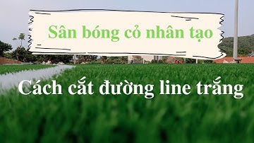 Sân cỏ nhân tạo | Cách cắt đường line trắng sân cỏ nhân tạo