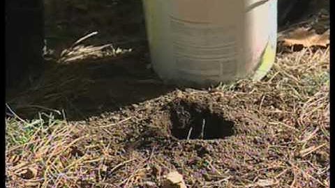 How To Vertical Mulch A Tree