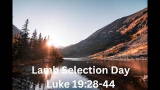 Lamb Selection Day. Luke 19:28-44