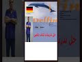 تدريب على عمل سؤال بالالمانية