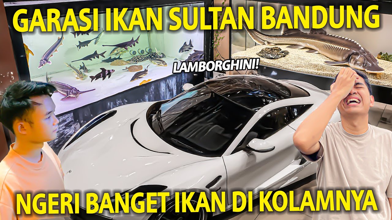 GARASI IKAN SULTAN BANDUNG! ADA LAMBORGHINI! IKAN DI KOLAMNYA MAHAL-MAHAL BANGET! KEVIN FISH GALLERY