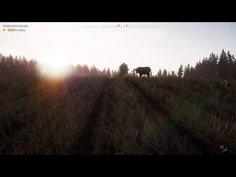 Cougar Space Program (Far Cry 5)