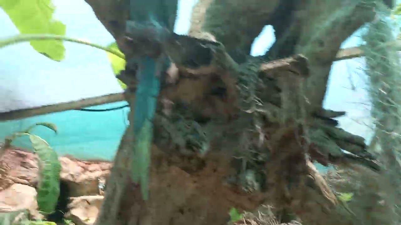 The Pixie and Fairy Village Jacobs Bay Family Outing Dec 2022 Clive Coetzee