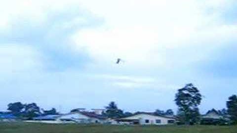 Esky Honey bee Cp2 intermediate properly fly 4