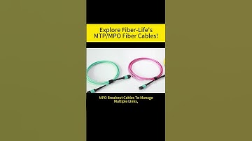 Explore Fiber-Life