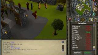 Silab servers