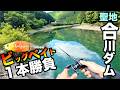 【バス釣り】聖地「合川ダム」でビッグベイト１本勝負したらマジでヤバい魚だらけで脳汁ですぎた！