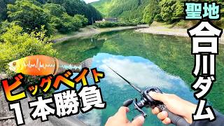 【バス釣り】聖地「合川ダム」でビッグベイト１本勝負したらマジでヤバい魚だらけで脳汁ですぎた！