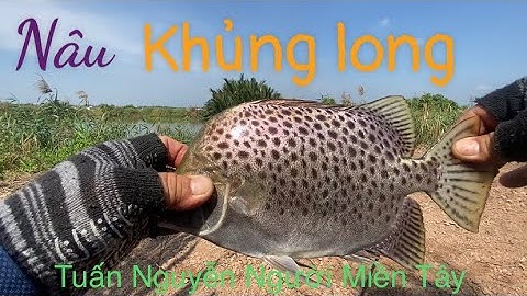 Ngày đi câu đầy mai mắn của 2 anh em, lên toàn cá khủng Long.( câu cá thiên nhiên) …