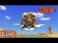 Oscar S Oasis Paper Planes HQ Funny Cartoons