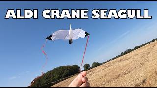 ALDI CRANE Seagull Kite in a light breeze