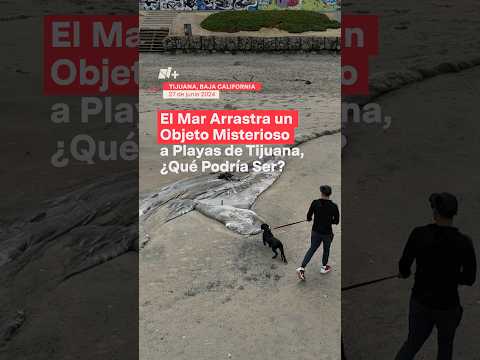 Algo extraño arrojó
