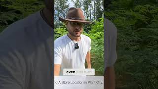 Moringa Tree Tour Harvest, Sponsor, and Adopt a Tree!