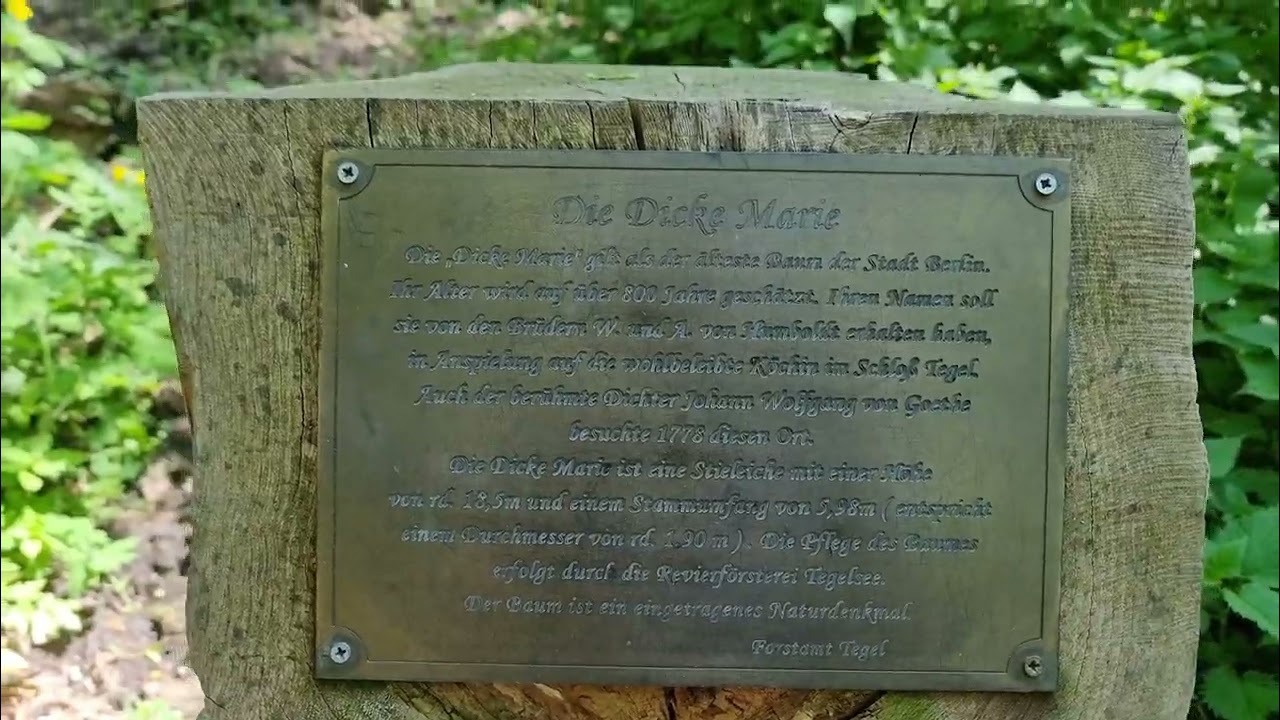 Fat Marie / Die dicke Marie