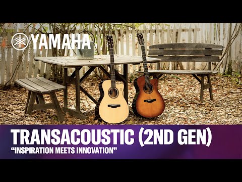 Yamaha TAS3 C Transacoustic Natural 