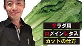 ロメインレタス食べないで 米保健当局 Youtube