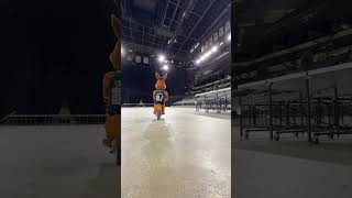 Coyote Rides A Motorcycle