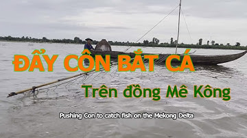 Đẩy Côn bắt cá trên đồng - "Day Con" to catch fish on the Mekong Delta II Bên Dòng Mê Kông