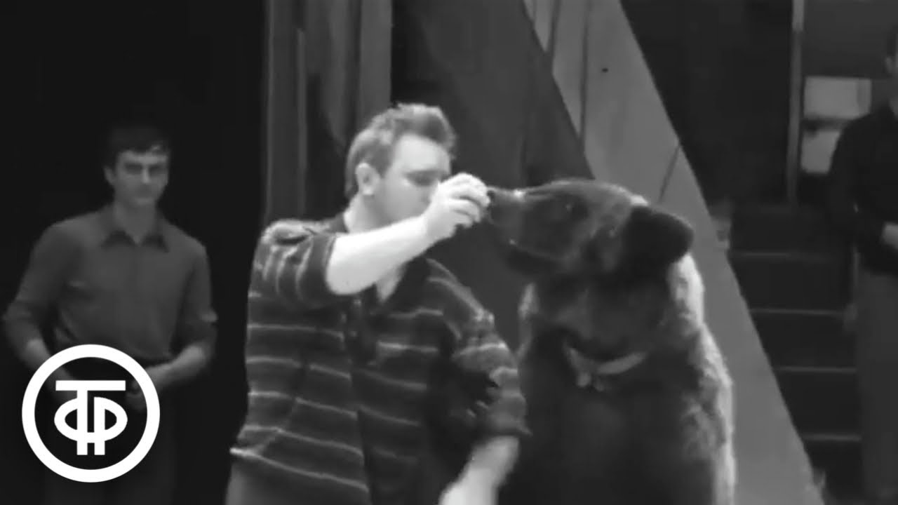 Новая программа "Руки золотые" в цирке на Цветном бульваре (1970)