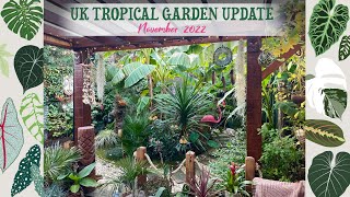 What My UK Tropical Garden Looks Like Late November ❄☀