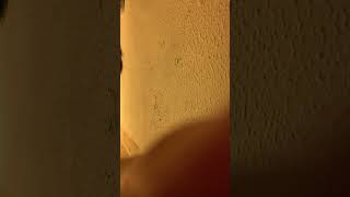 IMG 5921 02:10 2 JUN 2026