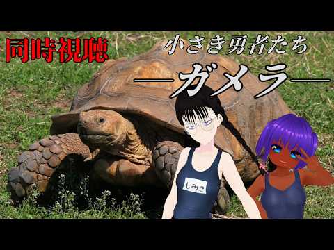【同時視聴】小さき勇者たち～ガメラ～【映画水泳部】
