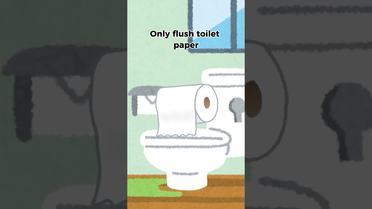 Toilet Etiquette in Japan: More Than Just Cleanliness　