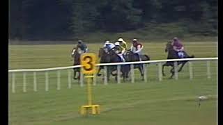 1991 Irish Champion Stakes Suave Dancer Includes Replay