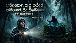 වාරියපොළ පාලු වත්තේ අභිරහස් ලිං බන්ධනය | Mystery of the Cursed Well