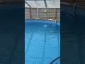 Пополняю бассейн в первый ливень
