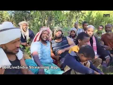 Nashiidaa Haaraa Nejjaash Muhammed Bara 2024 Roophilaa Deemu 