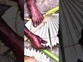 Making hand fans in rural Bengali tradition