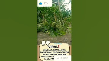 DETIK-DETIK DATANG NY ANGIN PUTING BELIUNG ATAU ANGIN KENCANG #anginkencang #putingbeliung