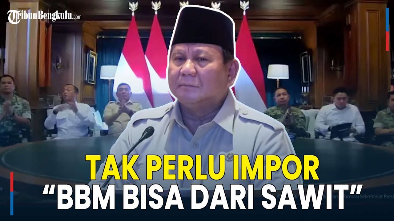 Resmikan 218 Jembatan, Prabowo Bicara Energi: BBM Indonesia Bisa Berasal dari Sawit dan Singkong