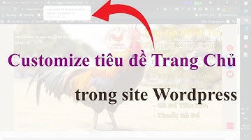 Customize tiêu đề trang chủ trong wordpress | dandev
