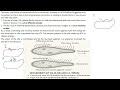 Locomotion in Paramecium| Ch 16| Class 10 Biology