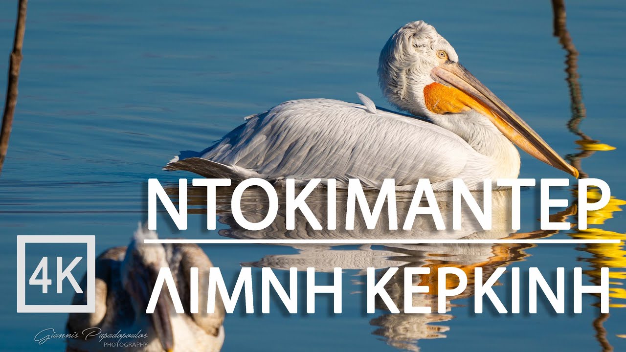 ΝΤΟΚΙΜΑΝΤΕΡ ΛΙΜΝΗ ΚΕΡΚΙΝΗ - ΣΕΡΡΕΣ 4Κ