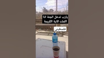 قال ربي اني دعوت قومي ليلا ونهارا سورة نوح ماهر المعيقلي