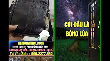 Cúi đầu là bông lúa, ngẩng đầu là cỏ dại....#dao #doi  #trietlycuocsong  #baihoccuocsong  #thongdie