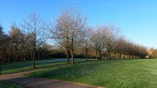 Waiting for the blossom