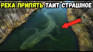Жуткие тайны реки ПРИПЯТЬ! Что скрывает река в зоне Чернобыля?