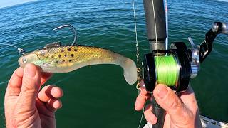 I Traded My Bucktails For This - And Caught Bigger Fish!