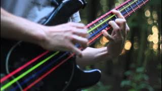 Evanescence - My Immortal (Bass Arrangement with TABS)