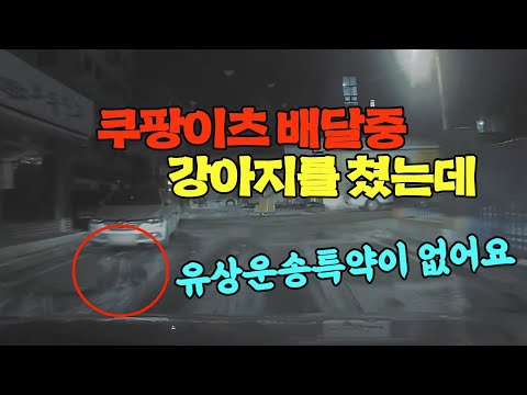 어두운 밤 자동차로 <strong>쿠팡이츠</strong> 배달중에 목줄 안 한 강아지를 쳤는데 치료비가 300만원 나왔습니다. 유상운송 특약이 없어서 무보험으로 처리된다는데요...