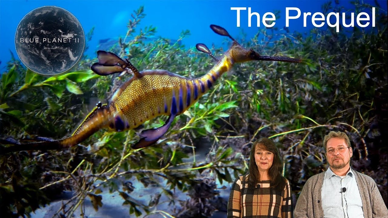 Blue Planet II - The Prequel - Reaction and Review