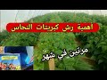 أهمية رش كبريتات النحاس على الخضروات وأشجار الفاكهة وقاية من الأمراض فطرية