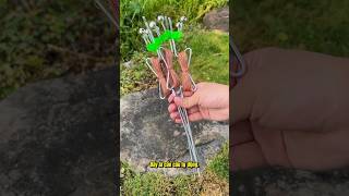 Cần Câu Cá Tự Động