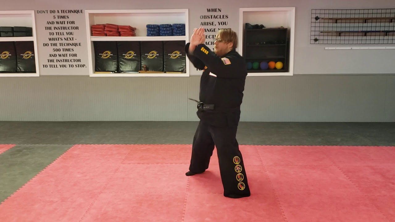 Pin. 2 Kata broken down for new blue belts